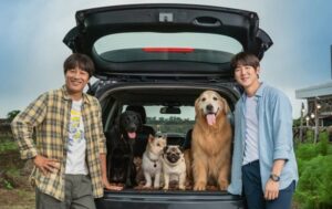 キム・ジュファン監督最新作『マイ・ハート・パピー』含む、人間と犬とのハートフル犬映画おすすめ3選!