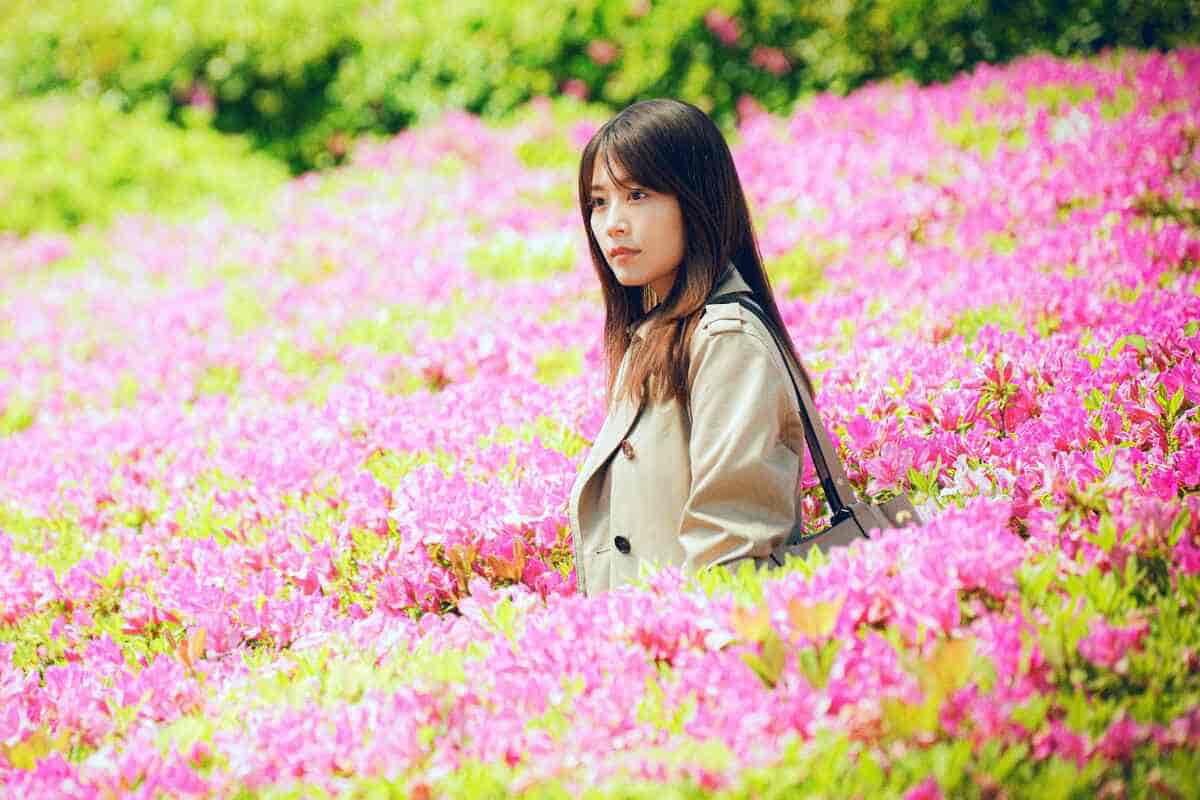 映画『花まんま』