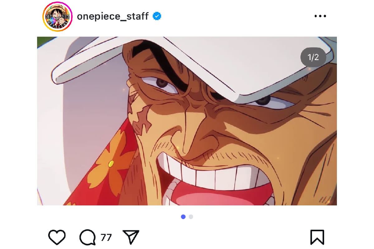 ONE PIECE