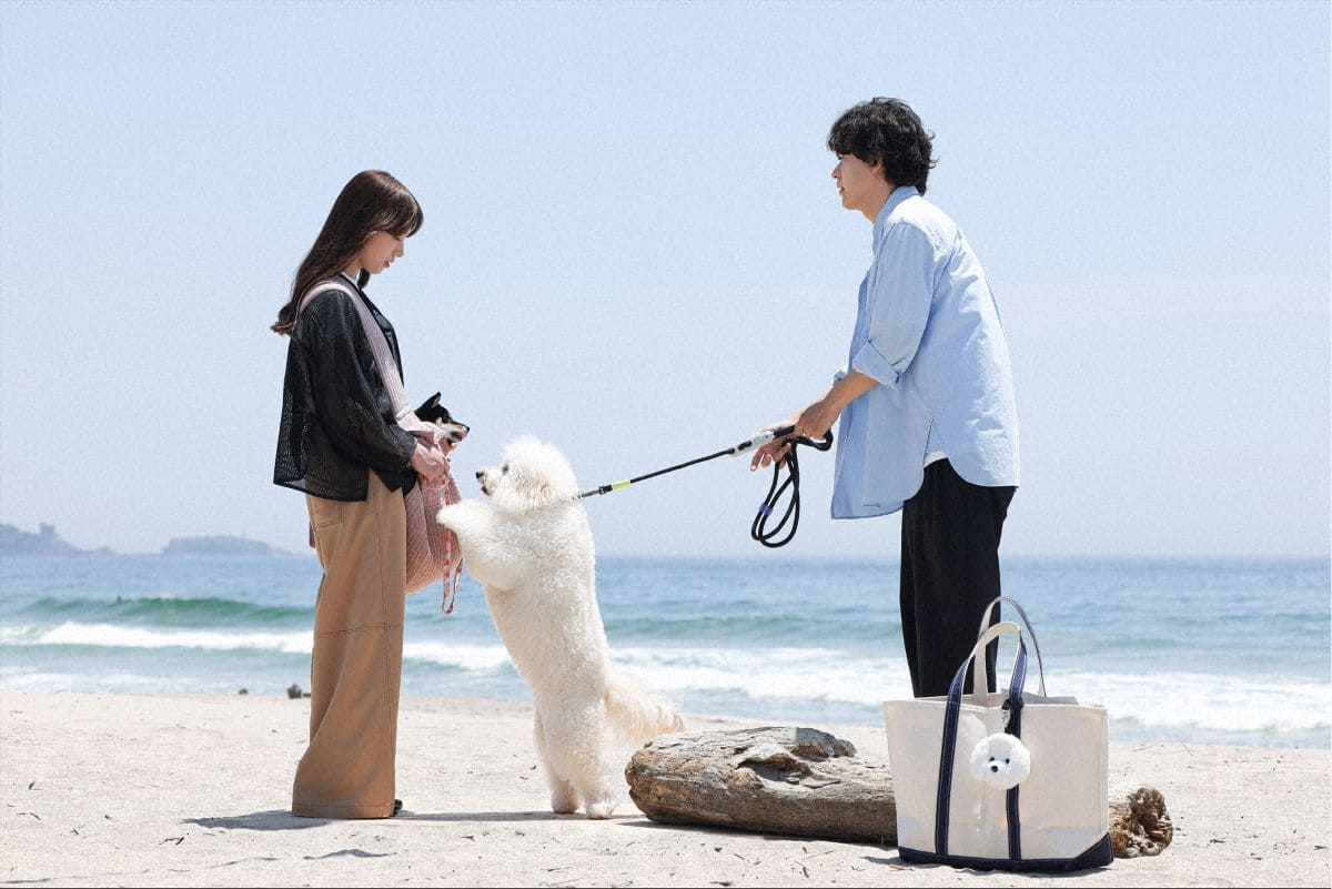 『初恋DOGs』第3話 ©TBS