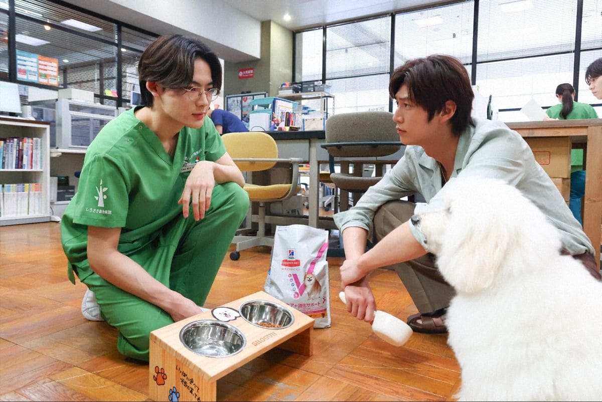 『初恋DOGs』第3話 ©TBS
