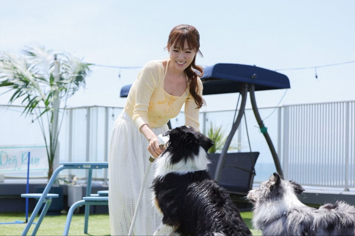 『初恋DOGS』第1話©TBS
