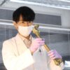 『最後の鑑定人』第1話 ©フジテレビ
